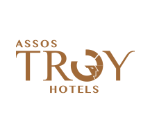 assos-troy